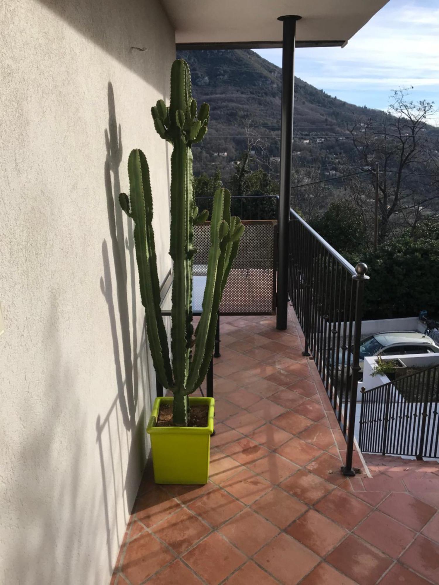 Haut De Villa Avec Vue - Le Bar Sur Loup 06 Екстериор снимка